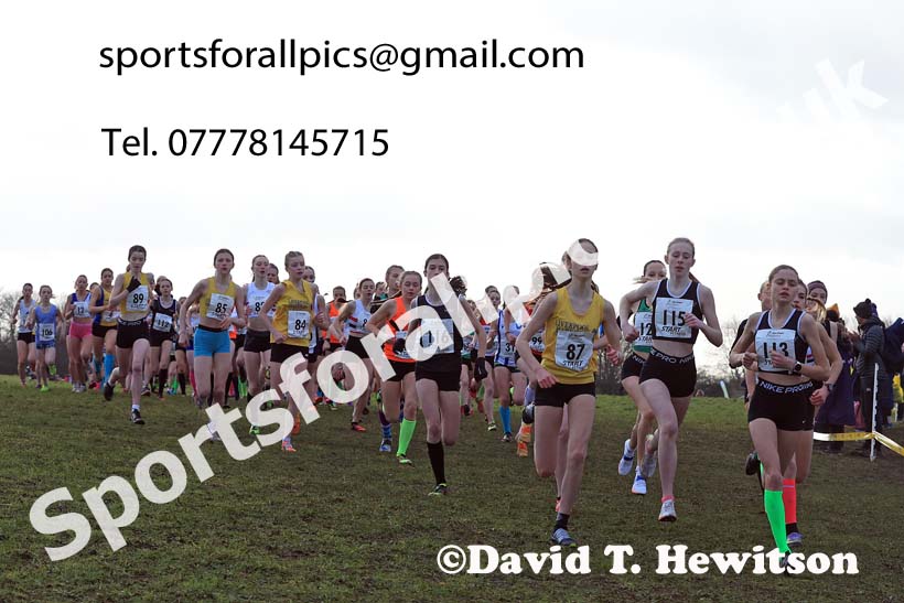 Girls Under-15s 2024 Northern Cross Country Champs., Sedgefield. Photo: David T. Hewitson/Sports for All Pics
